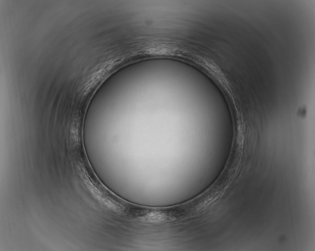 X0000116320441200912151246