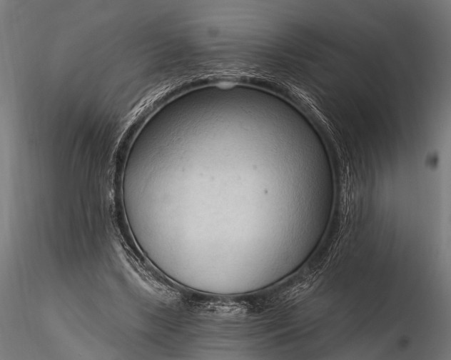 X0000116320443200912151246