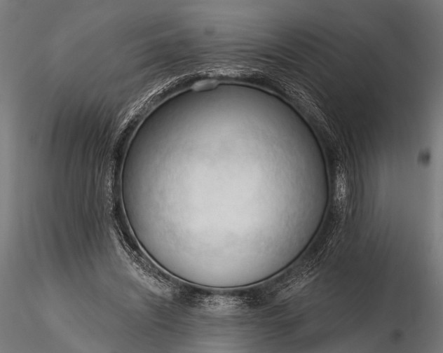 X0000116320444200912151246