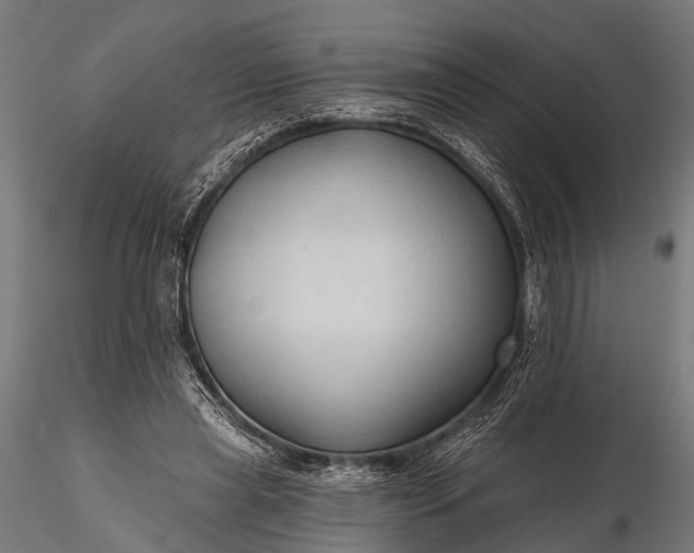 X0000116320445200912151246