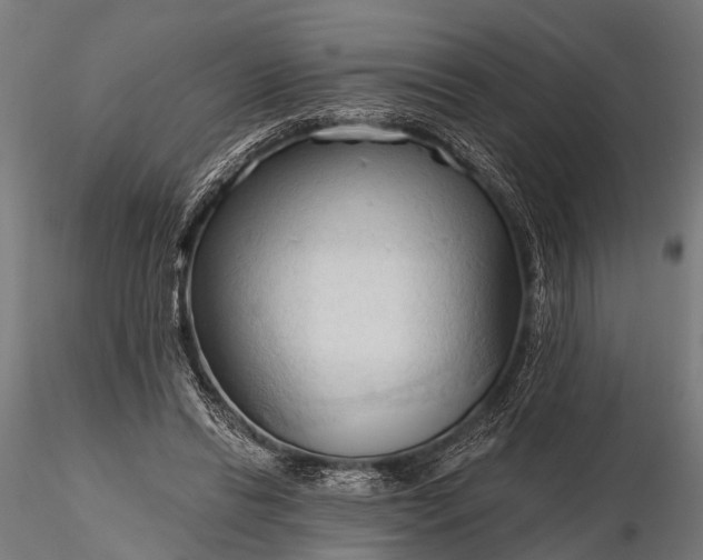 X0000116320446200912151246