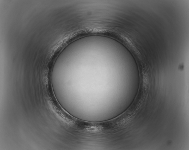 X0000116320447200912151246