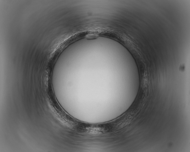 X0000116320448200912151246