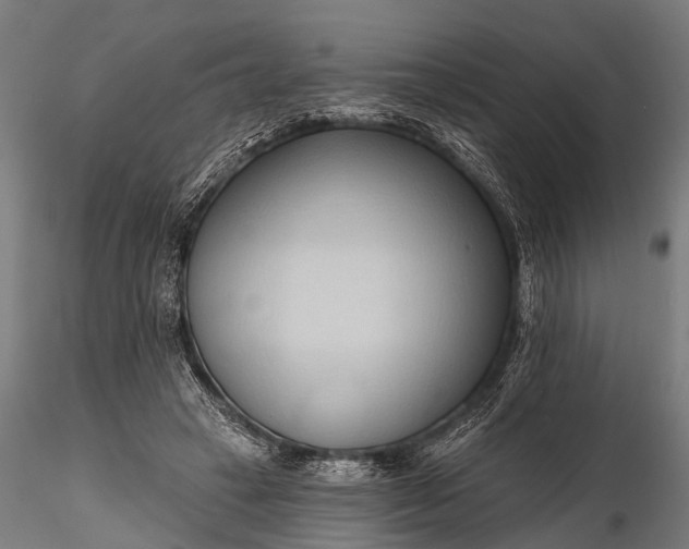 X0000116320449200912151246