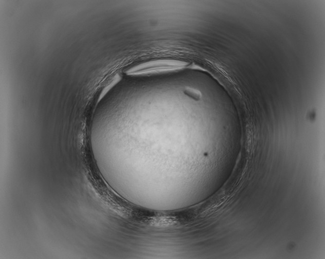 X0000116320451200912151246