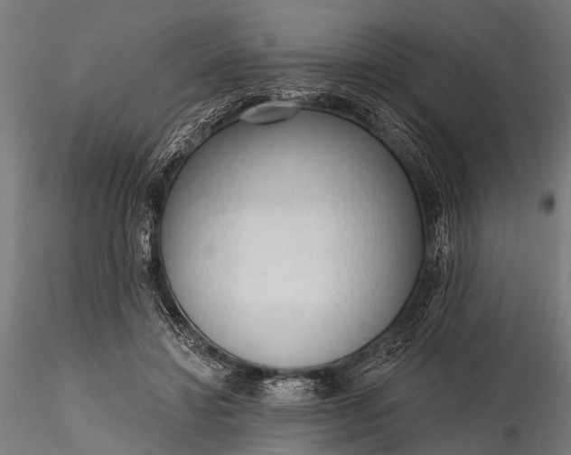 X0000116320452200912151246