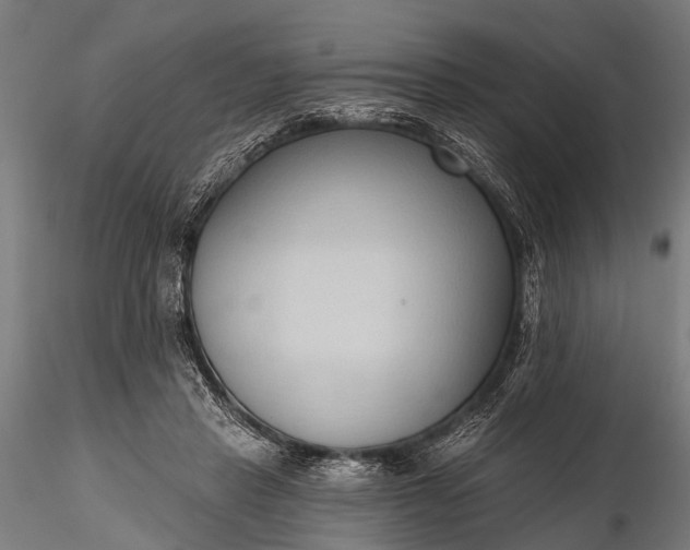 X0000116320453200912151246