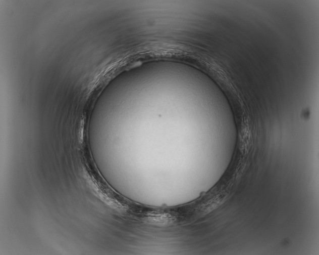 X0000116320454200912151246