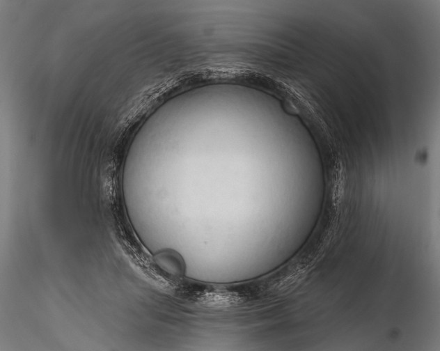 X0000116320455200912151246