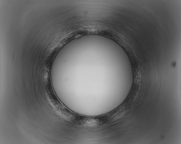 X0000116320456200912151246