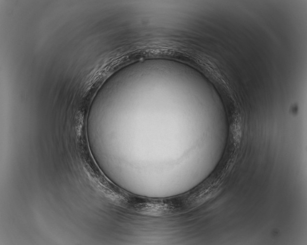 X0000116320458200912151246