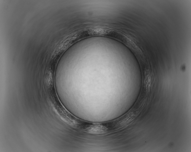 X0000116320459200912151246