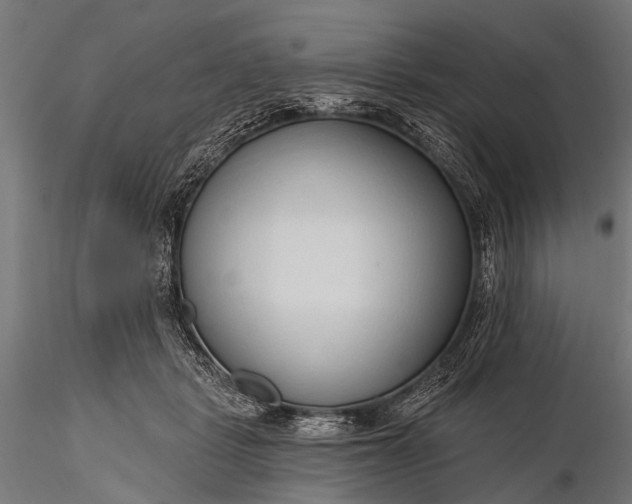 X0000116320461200912151246