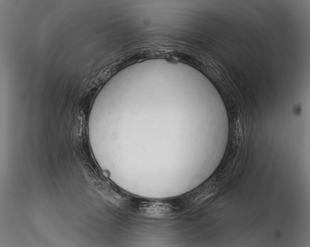 X0000116320463200912151246