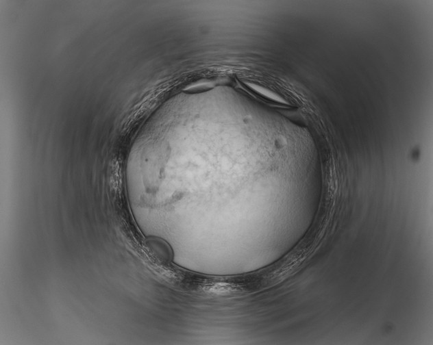 X0000116320467200912151246