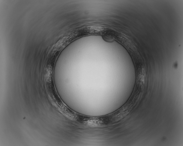 X0000116320468200912151246