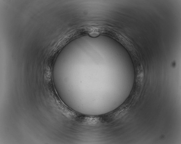 X0000116320469200912151246