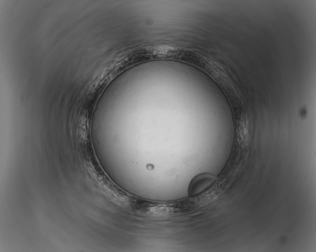 X0000116320470200912151246