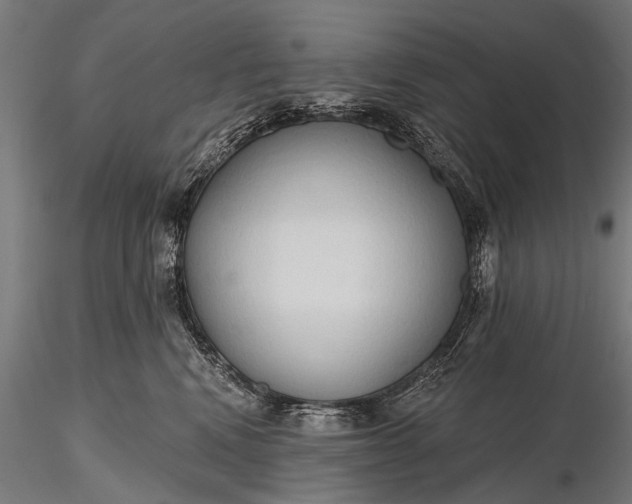 X0000116320472200912151246