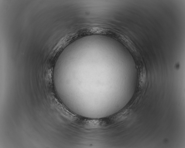 X0000116320473200912151246