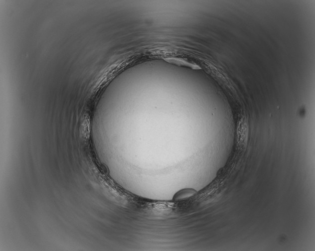 X0000116320474200912151246