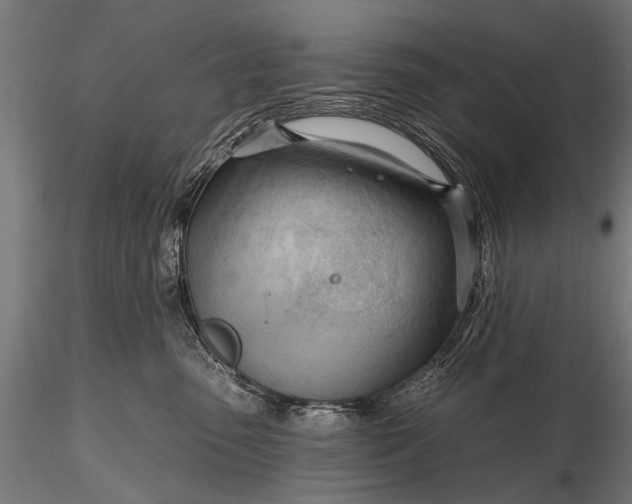 X0000116320475200912151246