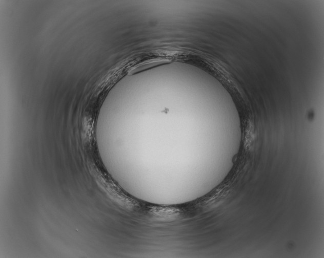 X0000116320476200912151247