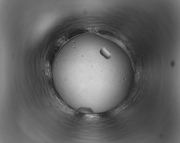 X0000116320477200912151247