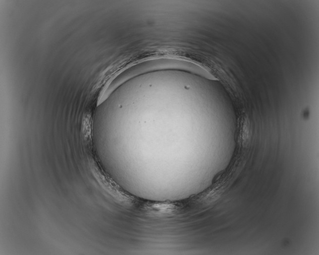 X0000116320478200912151247