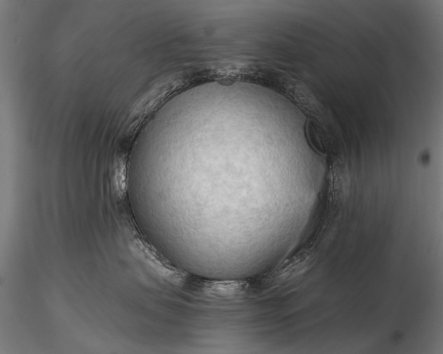 X0000116320479200912151247