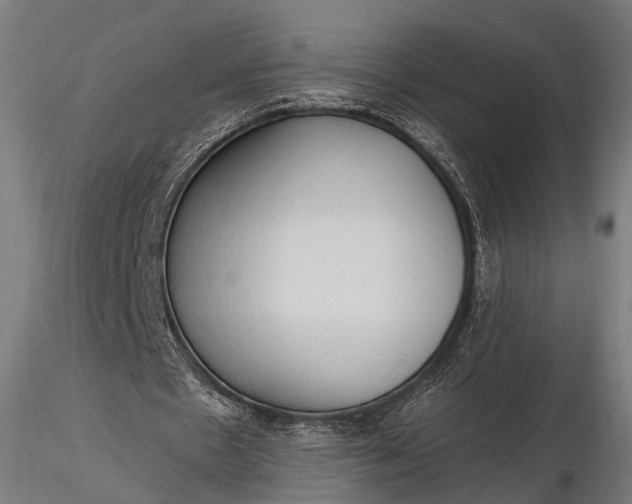 X0000116320481200912151246