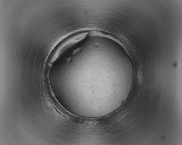 X0000116320484200912151246