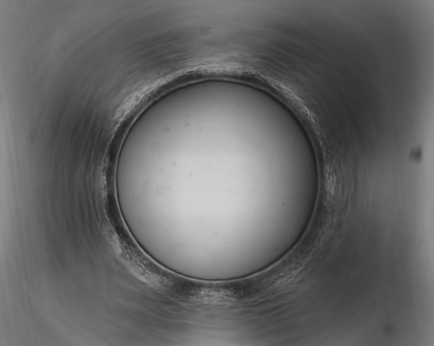 X0000116320487200912151246