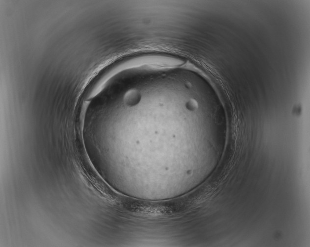 X0000116320488200912151246