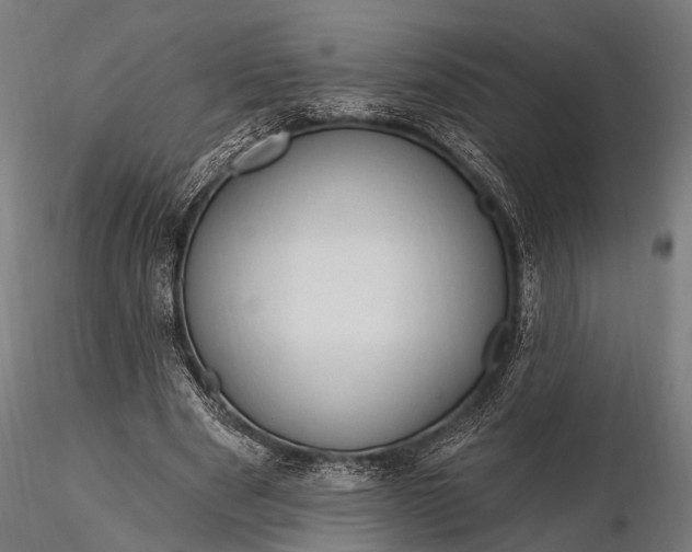 X0000116320489200912151246