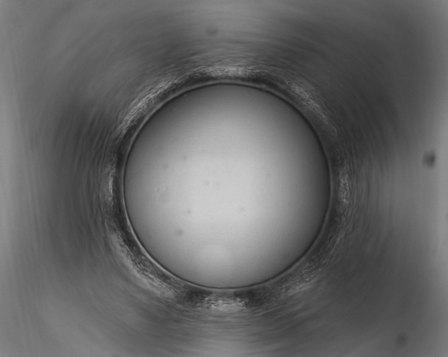 X0000116320491200912151246