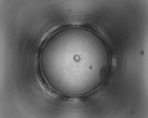 X0000116320492200912151246