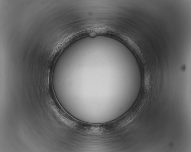 X0000116320493200912151246