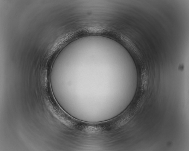 X0000116320494200912151246