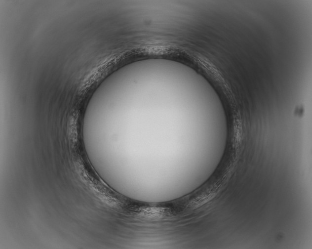 X0000116320497200912151246