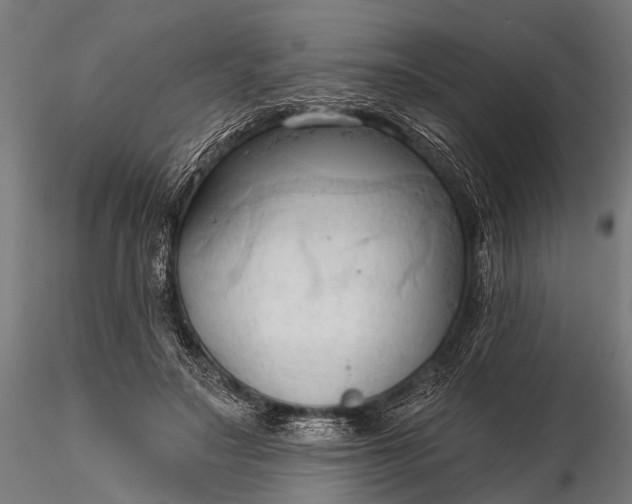 X0000116320499200912151246