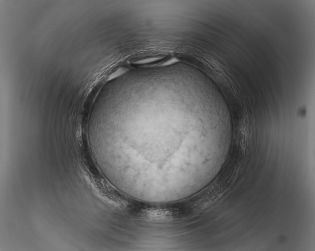 X0000116320500200912151246