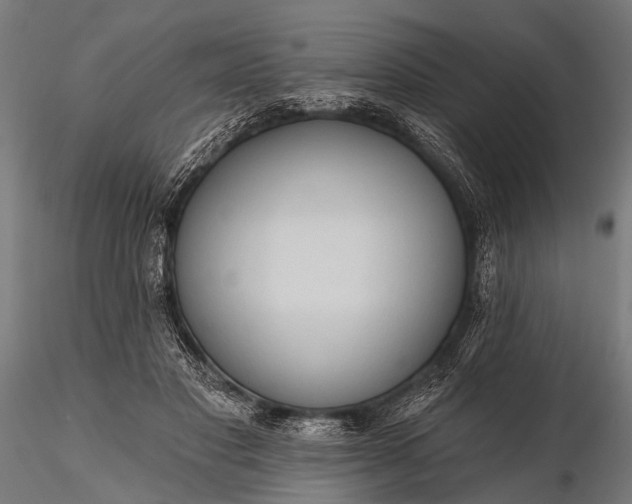 X0000116320501200912151246