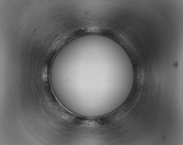 X0000116320502200912151246