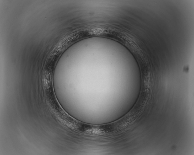 X0000116320503200912151246