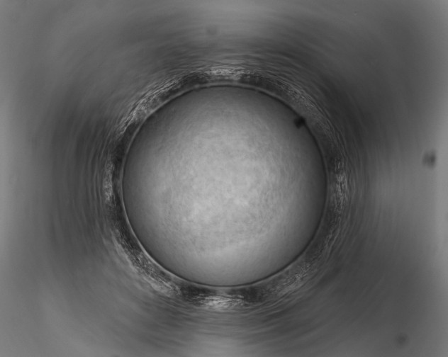 X0000116320504200912151246