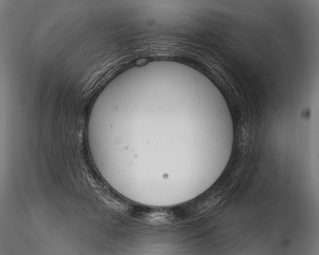 X0000116320505200912151246