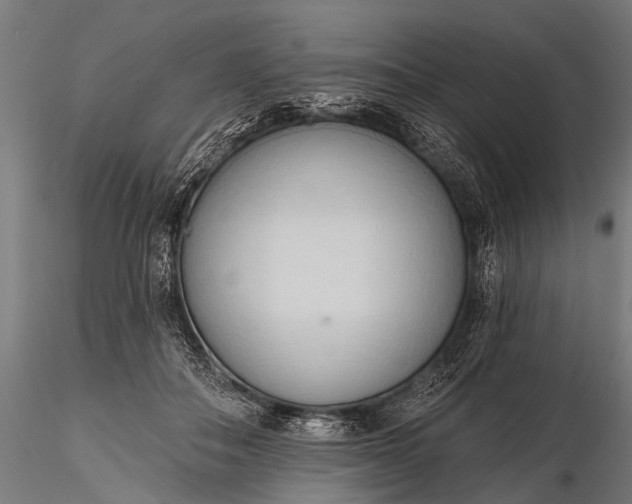 X0000116320506200912151246