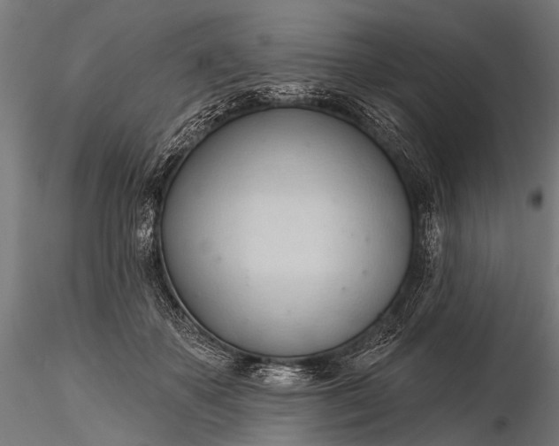 X0000116320507200912151246