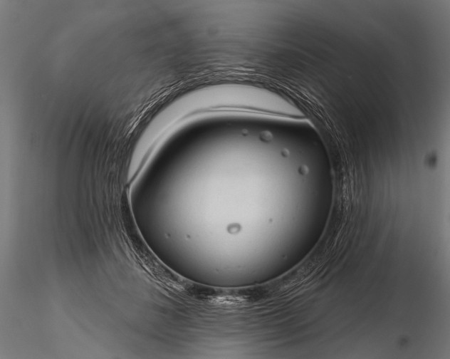 X0000116320508200912151246